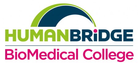 Projekt Human Bridge Human Bridge Årsberättelse 2015